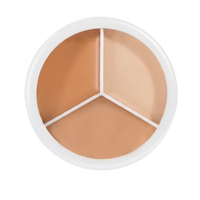 3 In 1 Hydrating Concealer