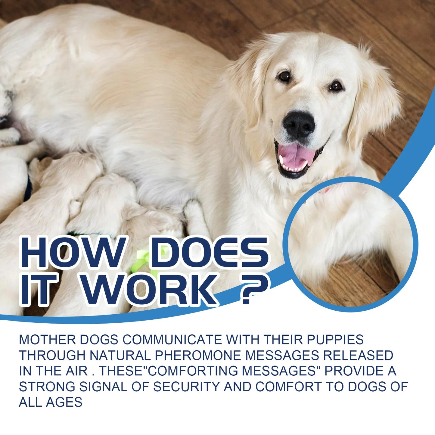 CalmPaws™ Natural Anxiety Relief