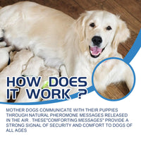 CalmPaws™ Natural Anxiety Relief