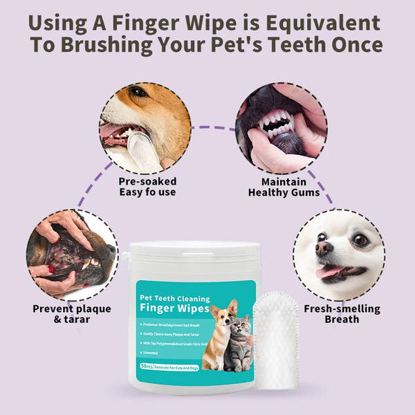 Pet Teeth Cleaning Finger Wipes